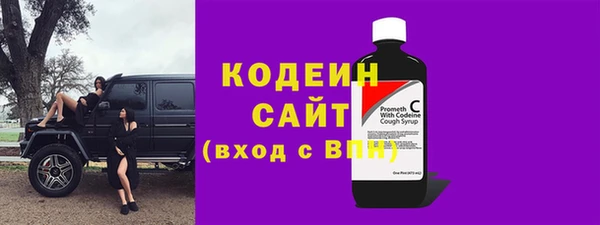индика Абаза