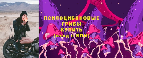 ПСИЛОЦИБИНОВЫЕ ГРИБЫ Лихославль