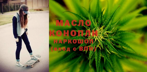 индика Абаза