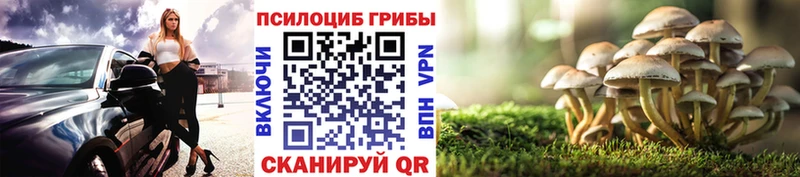 Псилоцибиновые грибы Psilocybe  Благовещенск 